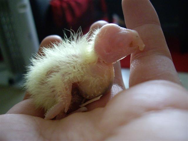 1er bb 190409 002 (Small).jpg