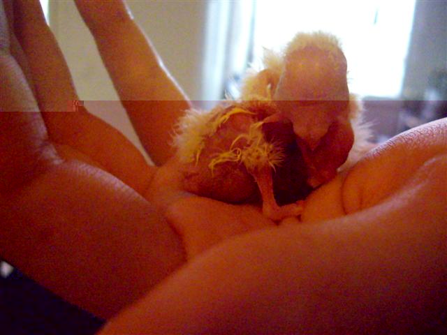 2 bb 200409 002 (Small).jpg