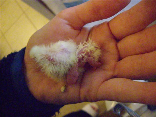 2 bb 200409 004 (Small).jpg