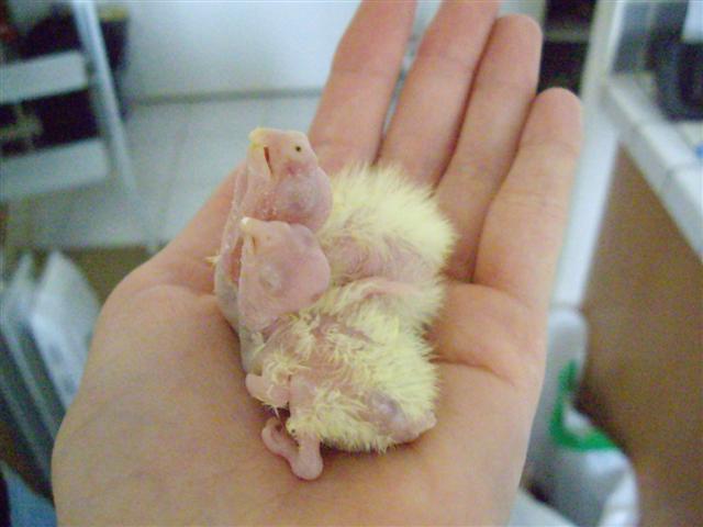 repro 220409 003 (Small).jpg