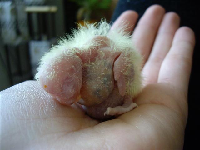 repro 220409 006 (Small).jpg