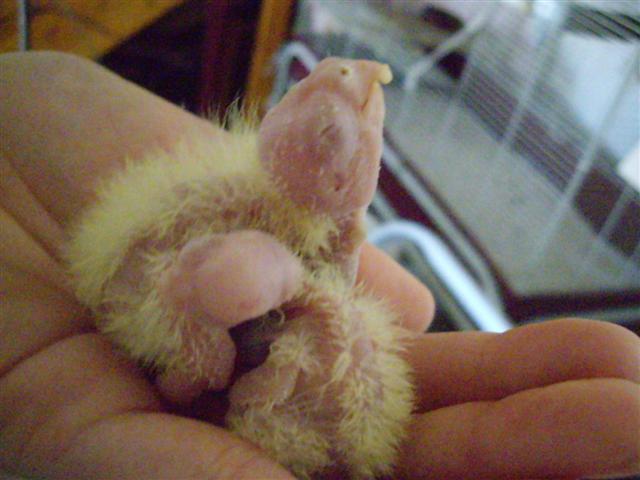 2bb 230409 004 (Small).jpg