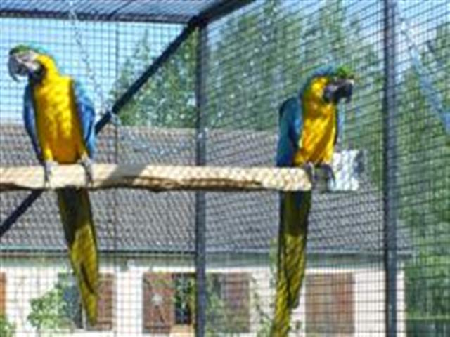 PIC_0012 (WinCE) (Small).JPG