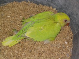 IMG_3072 [640x480] [320x200].JPG