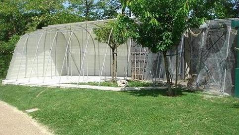 DSC04779 - Copie.JPG