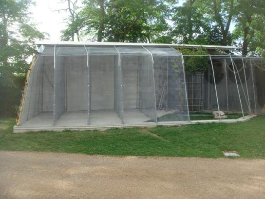 DSC04873 - Copie.JPG