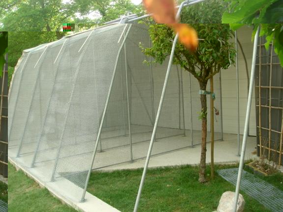 DSC04874 - Copie.JPG