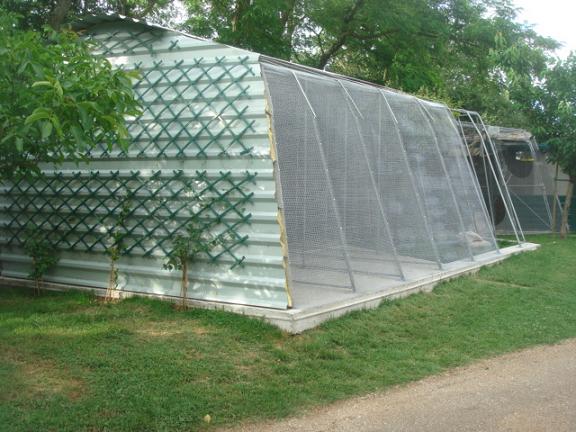 DSC04876 - Copie.JPG