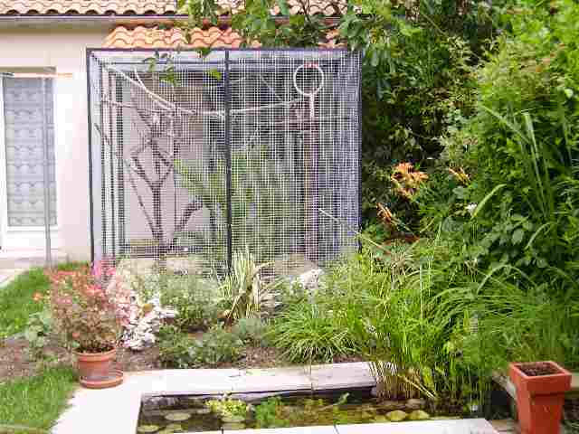 000reduit vol fin.jpg