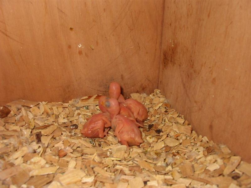 IMG_0022 (Medium).JPG