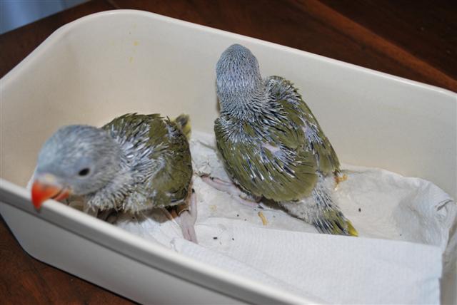 DSC_0012 (Small).jpg