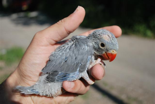 DSC_0013 (Small).jpg