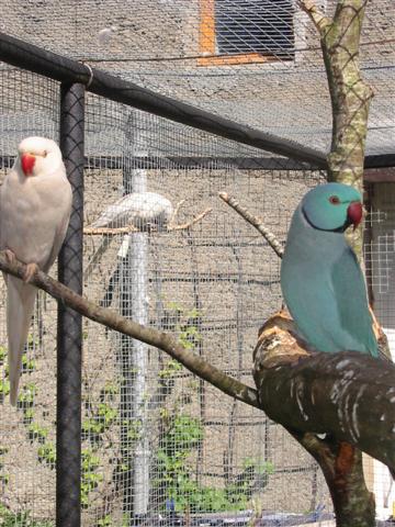 IMG_0030 (Small).JPG