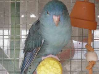 le pÃ¨re rÃ©veillÃ© pdt sa sieste.jpg