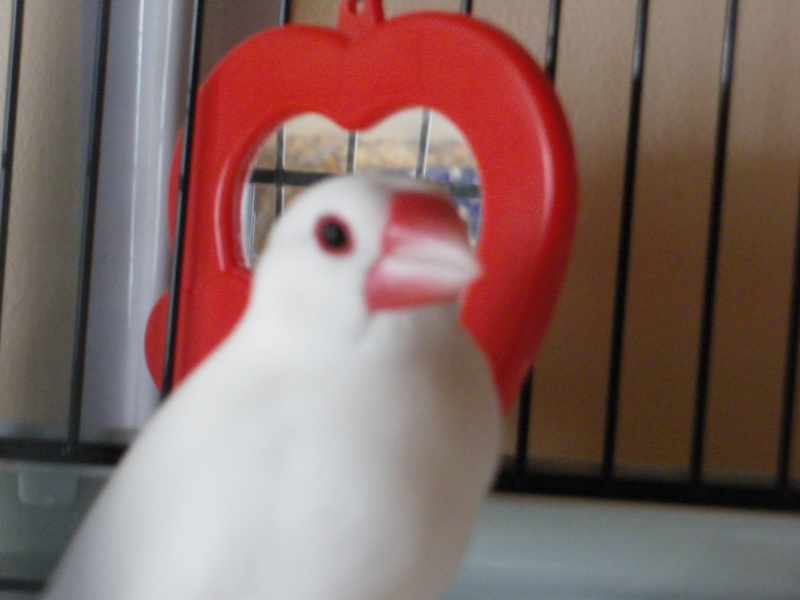 22 Juin 2009 00019.jpg