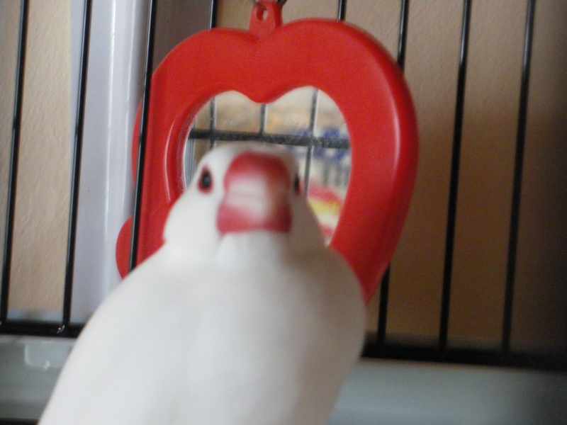 22 Juin 2009 00021.jpg