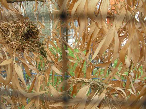 Nid travailleur extension.jpg