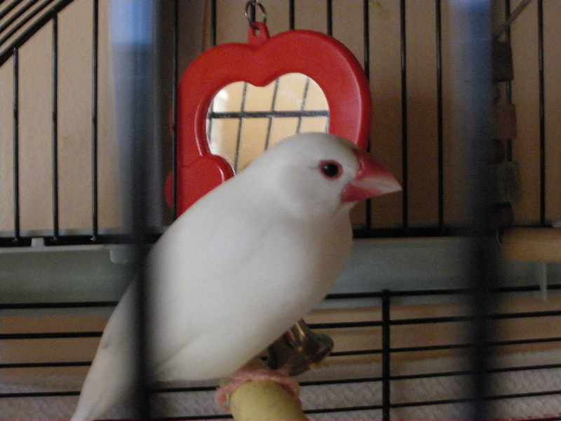 22 Juin 2009 00023.jpg