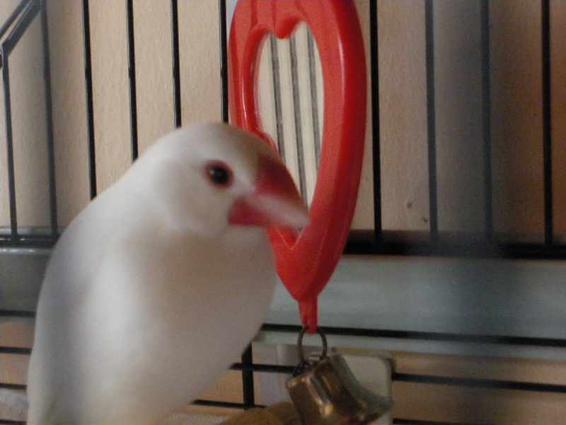 22 Juin 2009 00024.jpg