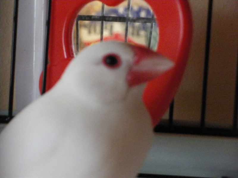 22 Juin 2009 00041.jpg