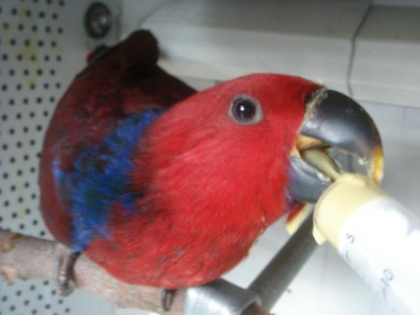 DSC04882 - Copie.JPG