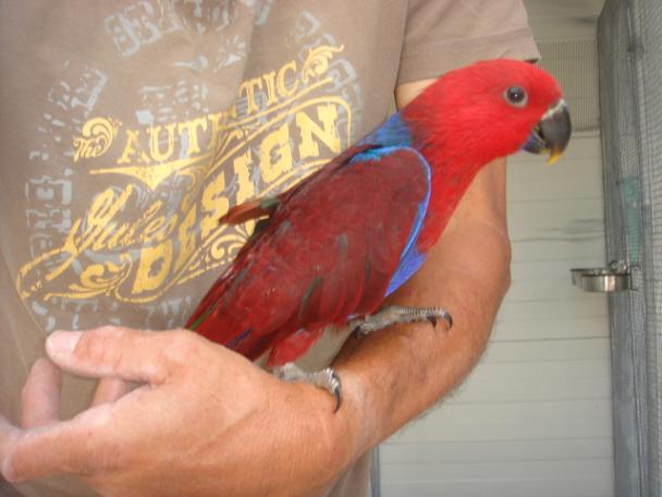 DSC04905 - Copie.JPG