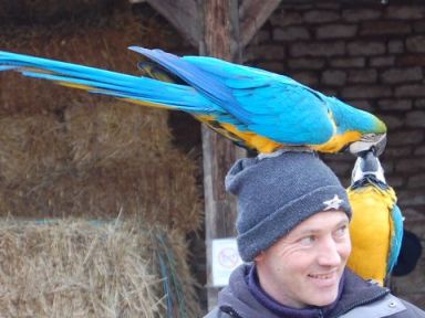 Gandor et GaÃ¯a (3b).jpg