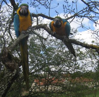 Gandor et GaÃ¯a (5b).jpg