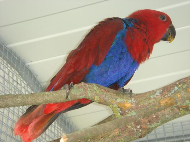 DSC04896 - Copie.JPG