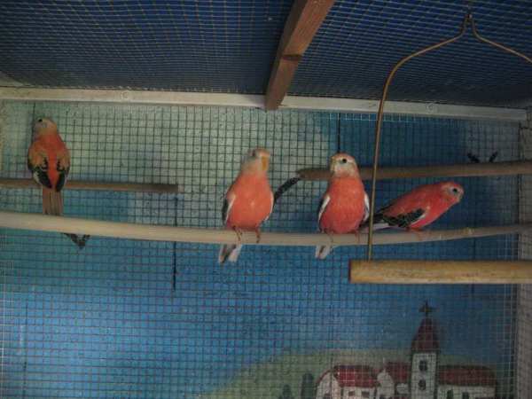 BB O 09 ET PARENTS.jpg