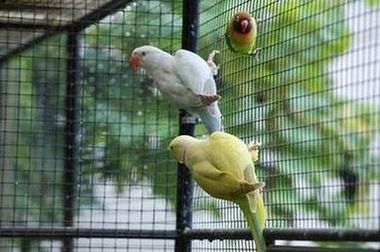 collier cinamon bleu 005.jpg