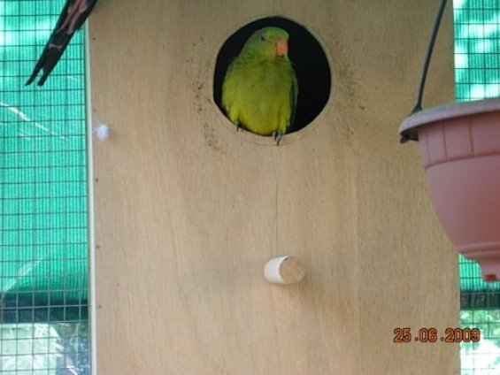 BÃ©bÃ© pret Ã  sortir004.JPG