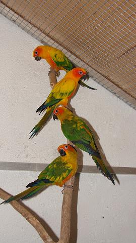 DSC00856 Ã©ssai.jpg