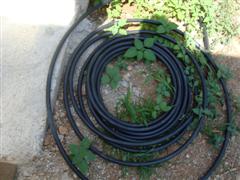 TUYAU POUR BRUMISATEUR  08 (WinCE).JPG