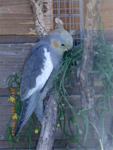 IMGP0910 (Small).JPG