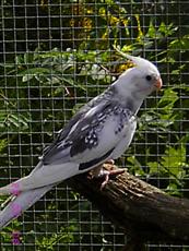 IMG_3719 (Custom).JPG