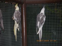 IMGP0842 (WinCE).JPG