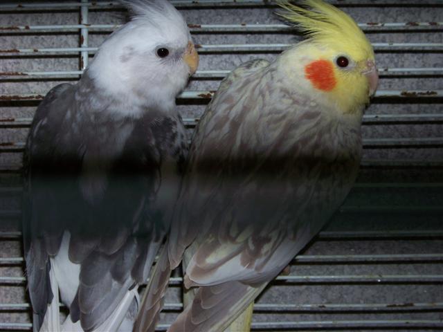 100_0126 (Small).JPG