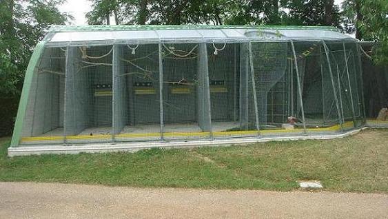 DSC04972 - Copie.JPG