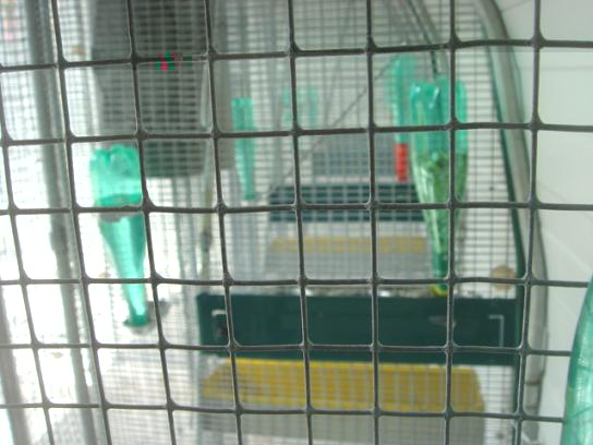 DSC04986 - Copie.JPG