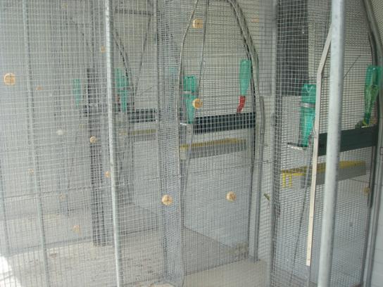 DSC04987 - Copie.JPG