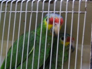 IMG_3408 [640x480] [50%].JPG