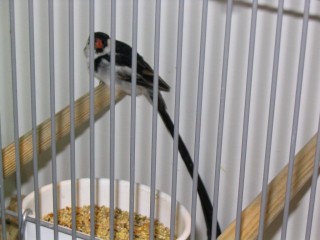 IMG_3421 [640x480] [50%].JPG