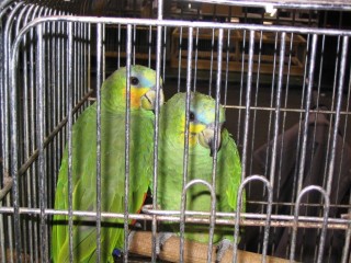 IMG_3409 [640x480] [50%].JPG