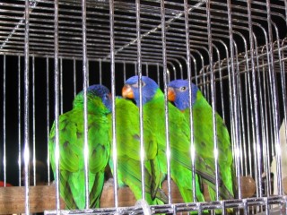 IMG_3423 [640x480] [50%].JPG