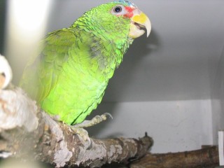 IMG_3435 [640x480] [50%].JPG