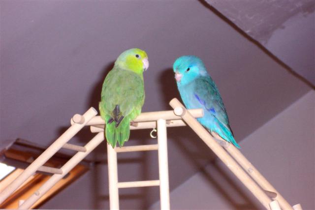 100_2079 (Small).JPG