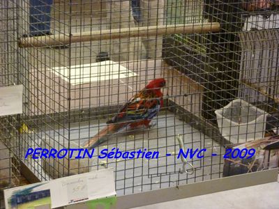 Bourse de Niort 001.JPG