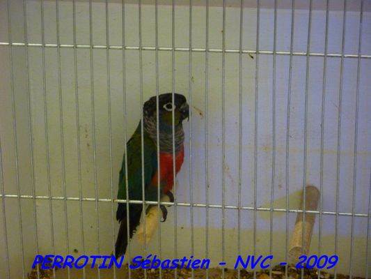 Bourse de Niort 003.JPG