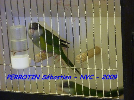 Bourse de Niort 005.JPG